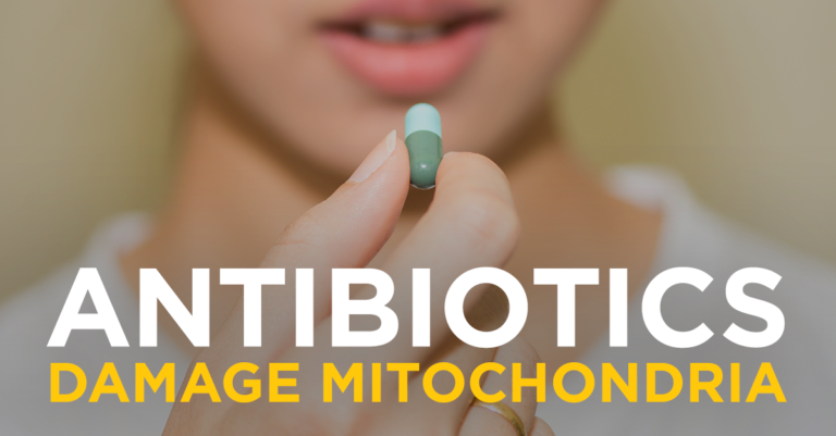 antibiotics_mitochondria
