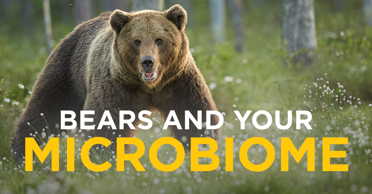 bears_microbiome