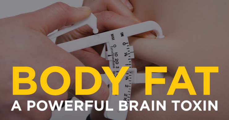 Body Fat – A Powerful Brain Toxin