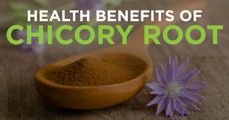 Health Benefits of Chicory Root