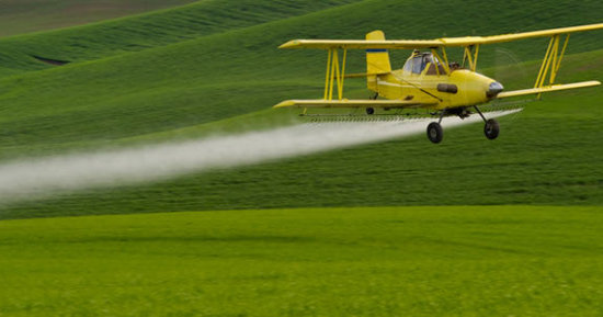 Pesticides Increase Risk for Neurodegenerative Conditions