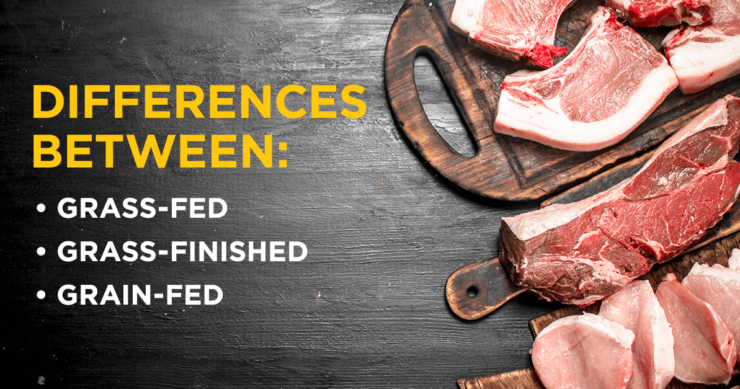 Differences Between Grass-Fed, Grass-Finished, and Grain-Fed Beef