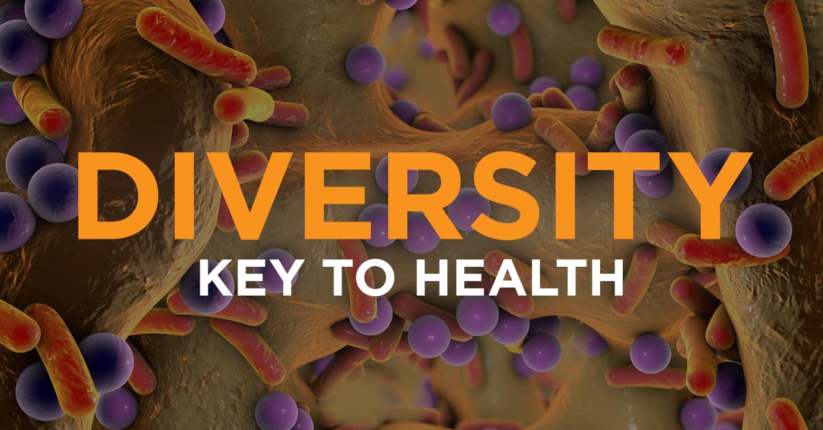 diversity_key_to_health
