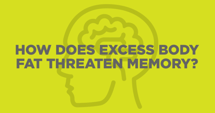 How Does Excess Body Fat Threaten Memory?