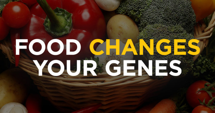 Food Choices Change Our Gene Expression