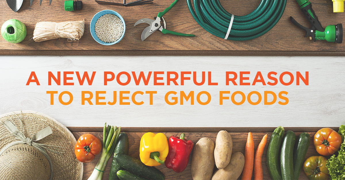 glyphosate_GMO