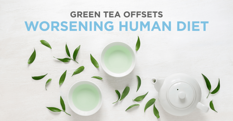 Green-Tea-Offsets-1