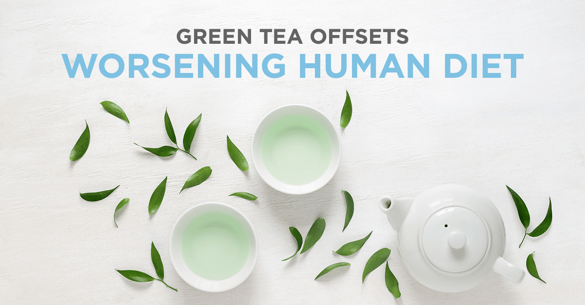 Green-Tea-Offsets-1