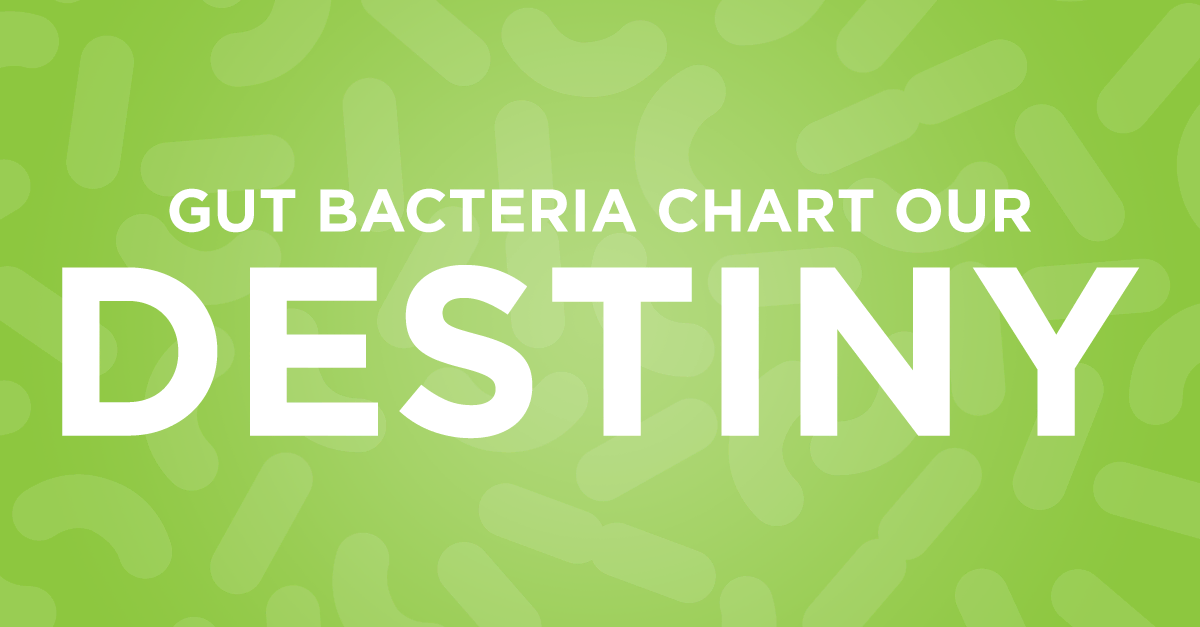 gut_bacteria_destiny