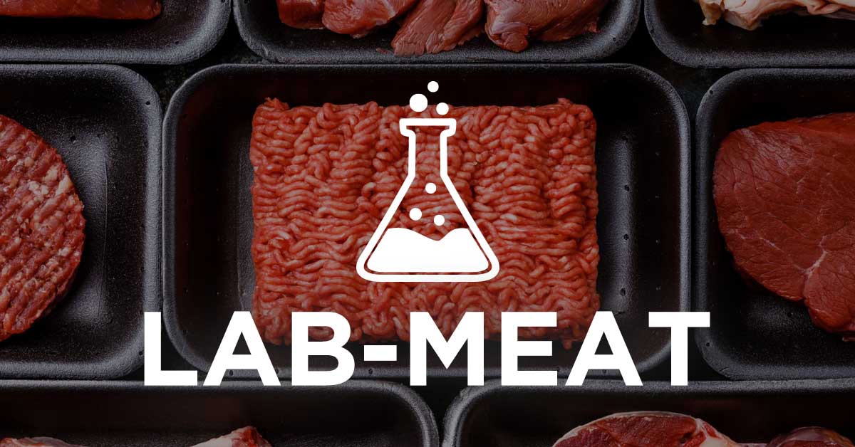 Made in lab. Логотип grillez real meat. Amps Innovation meat.