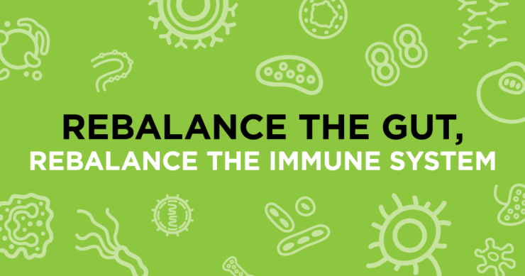 Rebalance the Gut, Rebalance the Immune System