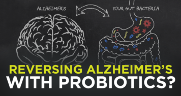 Reversing Alzheimer’s with Probiotics?