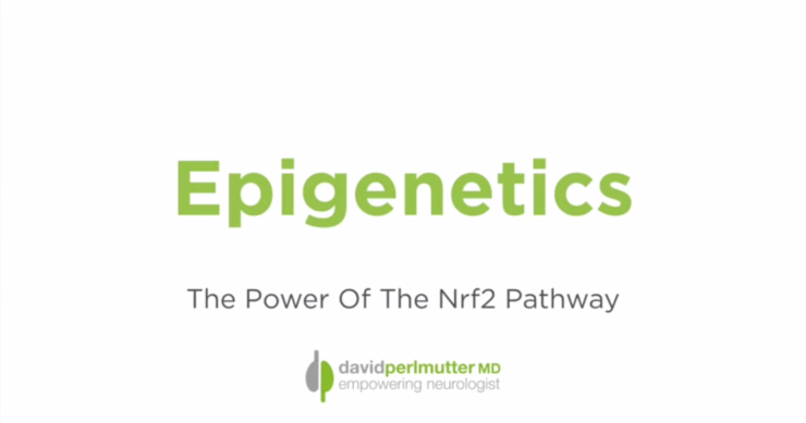 Epigenetics – The Power Of The Nrf2 Pathway