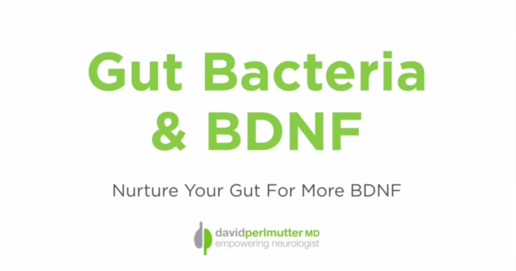 Gut Bacteria & BDNF