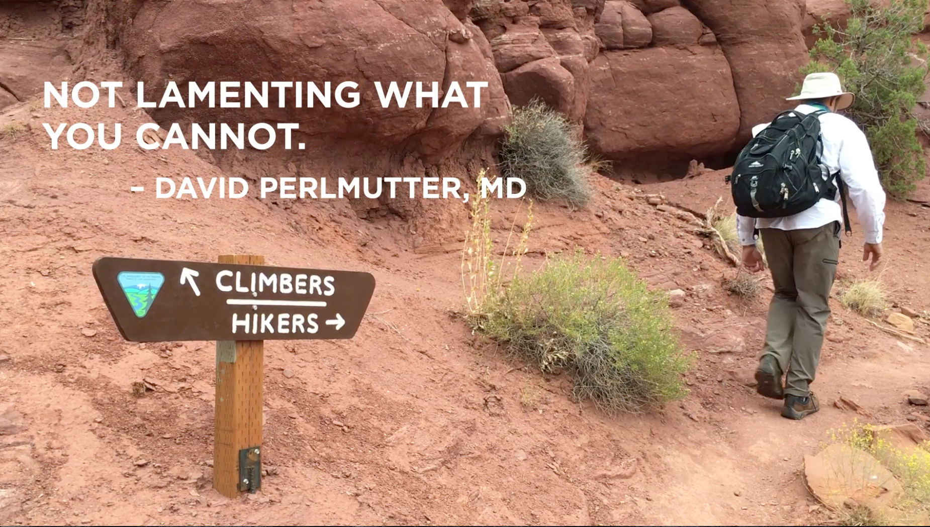 david_perlmutter_inspiration_quote