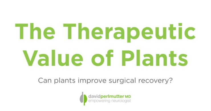 The Therapeutic Value of Plants