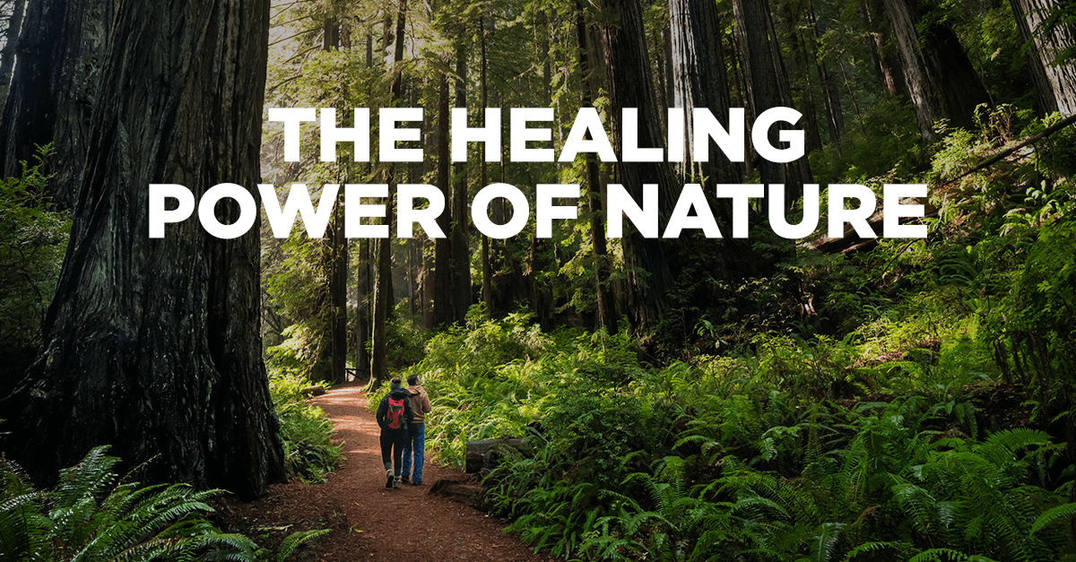 On Shinrin-yoku, or Forest Bathing, and Healing Power Nature