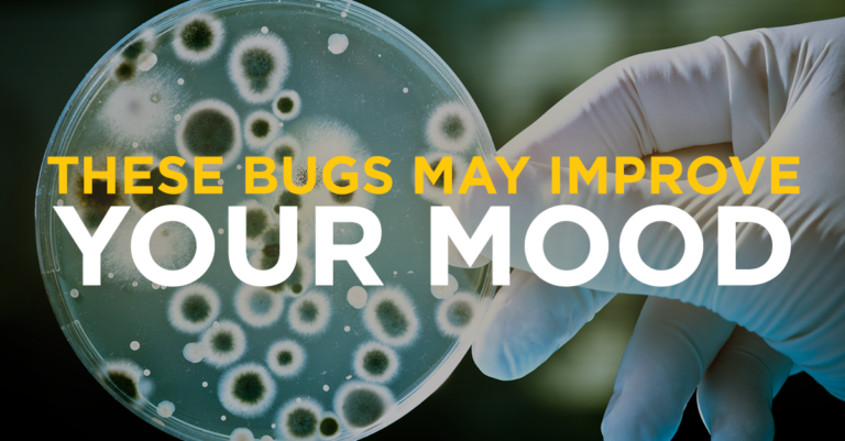 bugs_improve_mood