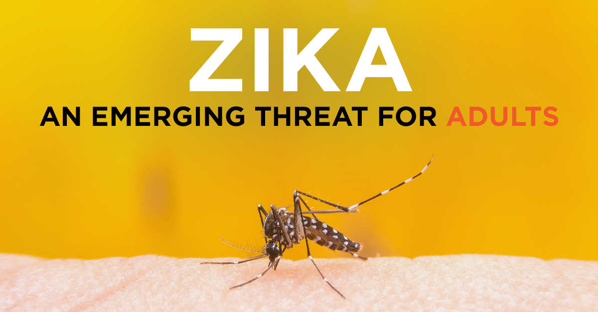 zika_virus_brain_adults