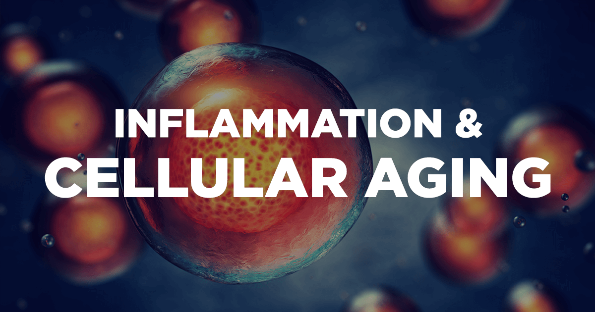 inflammation_cellular_aging