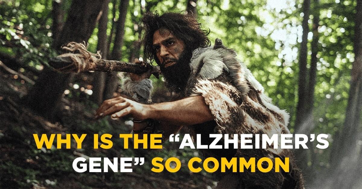 Alzheimers-Gene