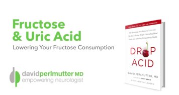 Fructose: Bad for The Brain?