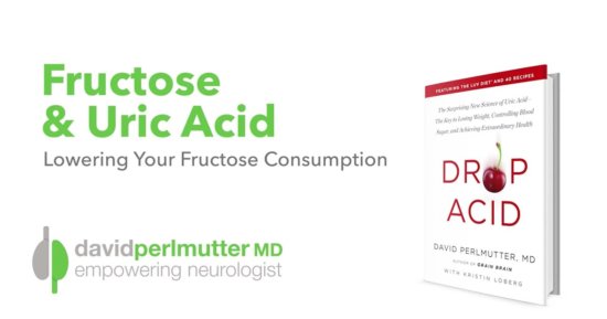 Fructose: Bad for The Brain?