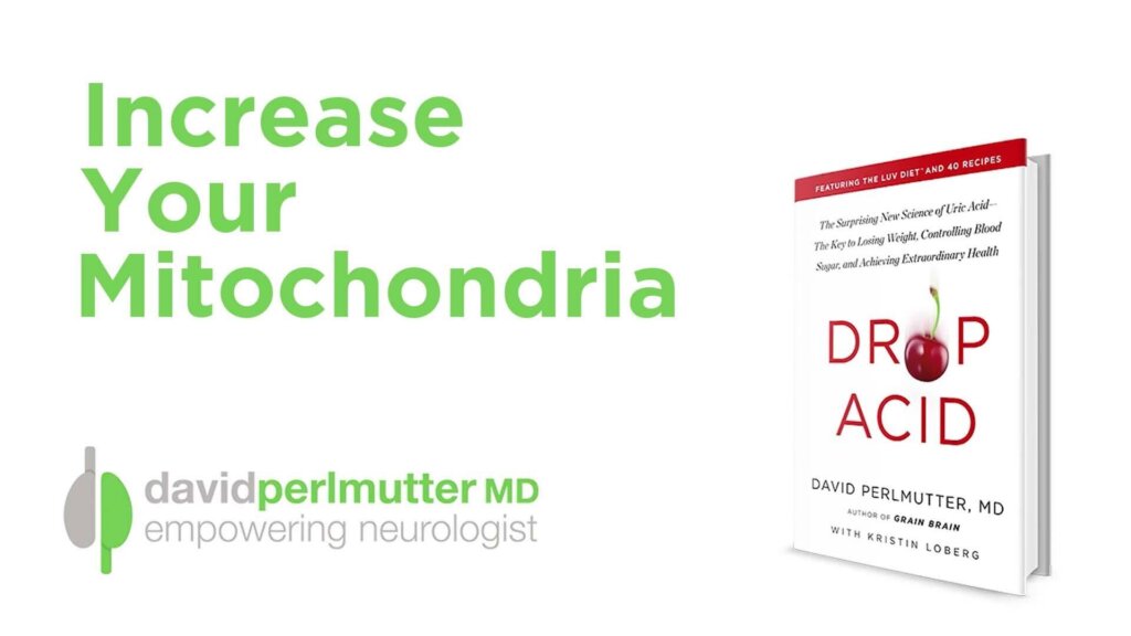 Increase Your Mitochondria, Your Body Will Thank You