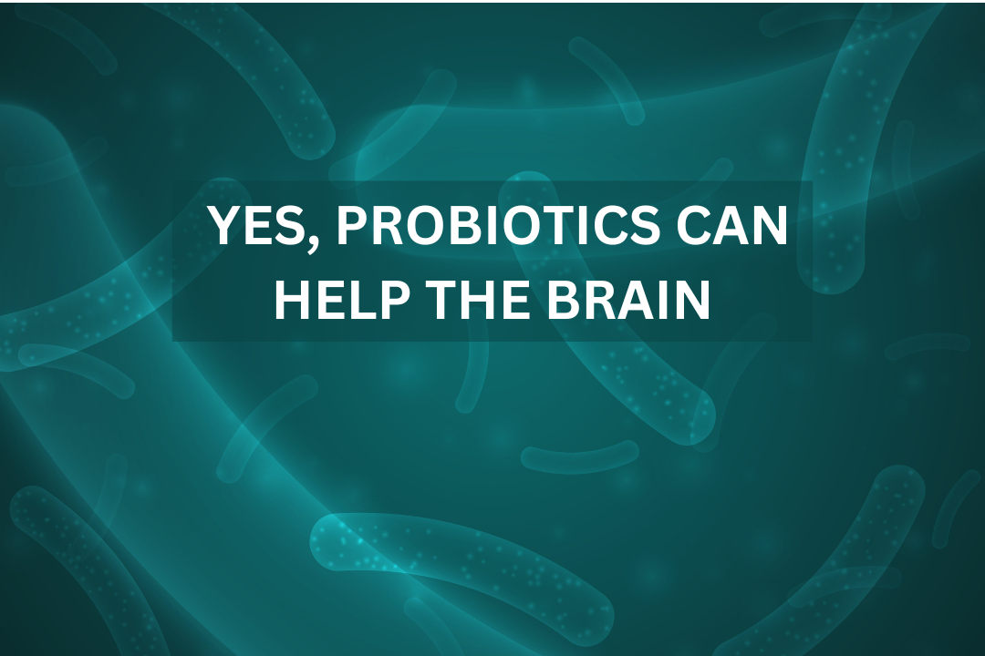 Yes Probiotics Can Help the Brain