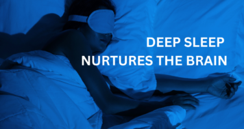 Deep Sleep Nurtures the Brain