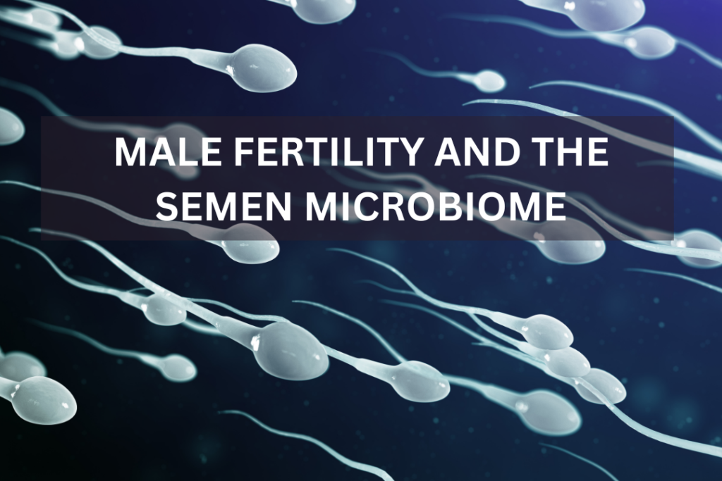 Male Fertility and the Semen Microbiome