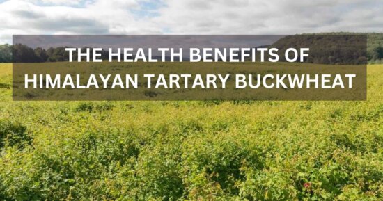 The Health Benefits of Himalayan Tartary Buckwheat: A Polyphenol Powerhouse