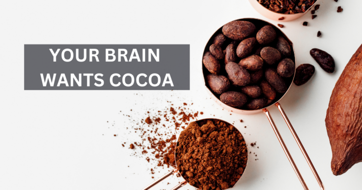 Your Brain Wants Cocoa