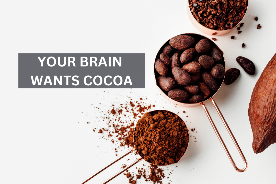 Your Brain Wants Cocoa