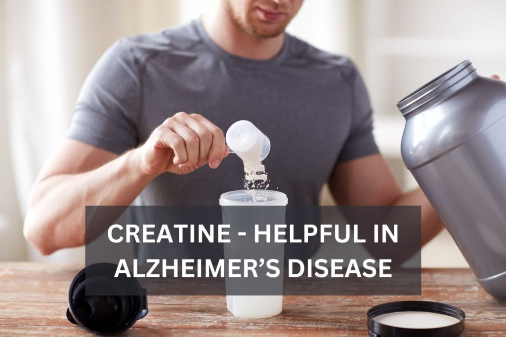 Creatine – Helpful in Alzheimer’s Disease