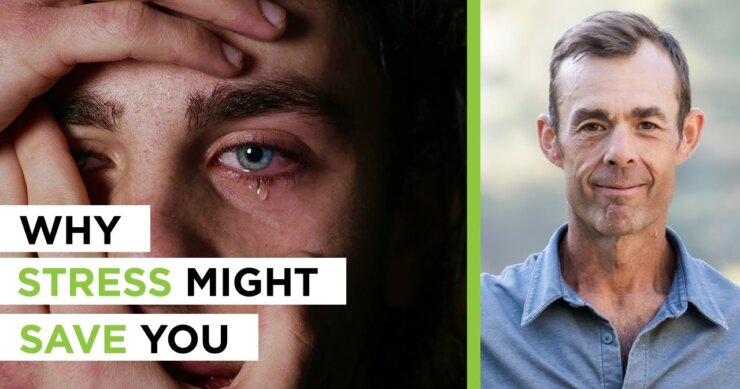 Yes, Stress Can Be Good: The Health Benefits of Doing Hard Things | Jeff Krasno