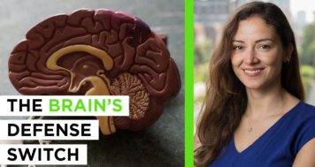 Choosing Your Brain’s Destiny – The Science of Epigenetics