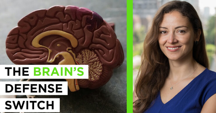 Choosing Your Brain’s Destiny – The Science of Epigenetics