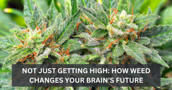 Not Just Getting High: How Weed Changes Your Brain’s Future