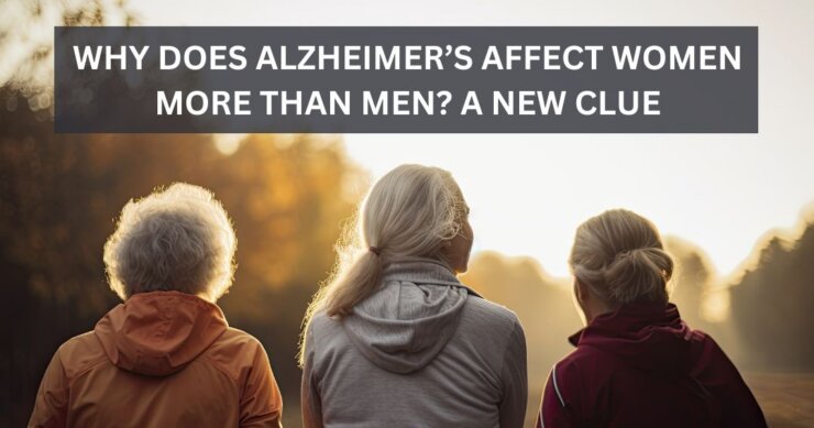 Why Does Alzheimer’s Affect Women More Than Men? A New Clue