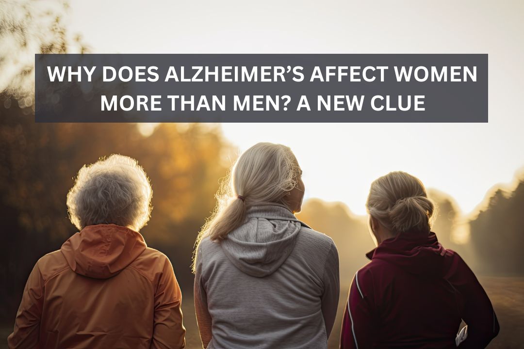 Why Does Alzheimer’s Affect Women More Than Men? A New Clue