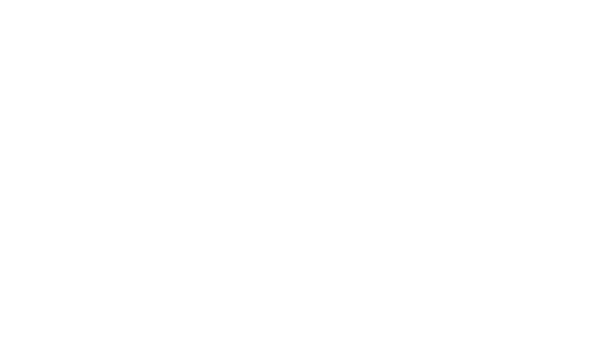 JNS logo