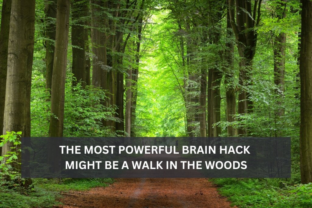 The Most Powerful Brain Hack Might Be a Walk in the Woods