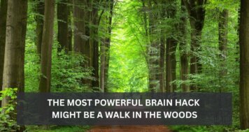 The Most Powerful Brain Hack Might Be a Walk in the Woods