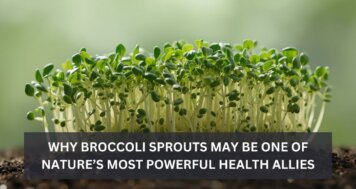 Why Broccoli Sprouts May Be One of Nature’s Most Powerful Health Allies