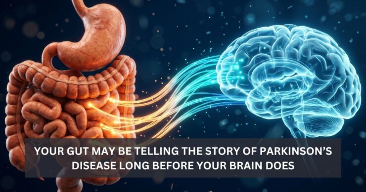 Your Gut May Be Telling the Story of Parkinson’s Disease Long Before Your Brain Does