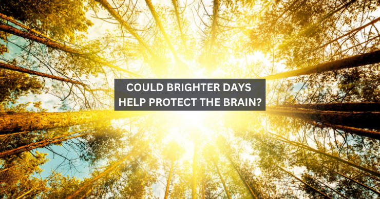 Could Brighter Days Help Protect the Brain?