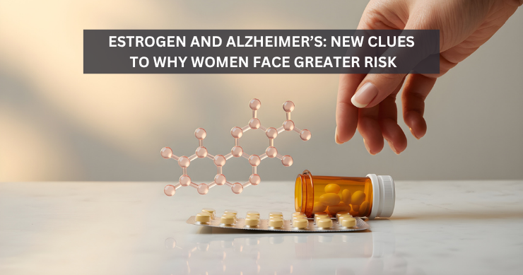 Estrogen and Alzheimer’s: New Clues to Why Women Face Greater Risk